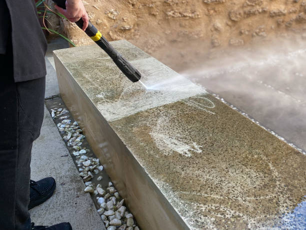 Best Power Washing Near Me  in Waldo, AR